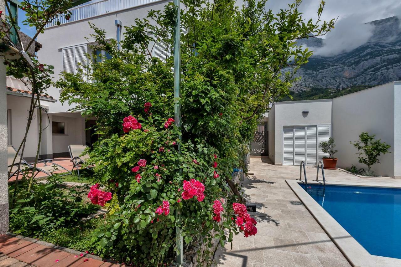 Apartment Mediteraneo ماكارسكا المظهر الخارجي الصورة